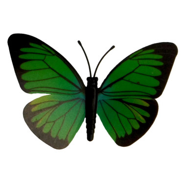 Butterfly Magnet-Green Black