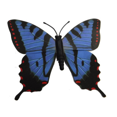 Butterfly Magnet-Blue Black...